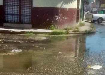 Vecinos de La Michelena Norte denuncian colapso de las tuberías de aguas negras
