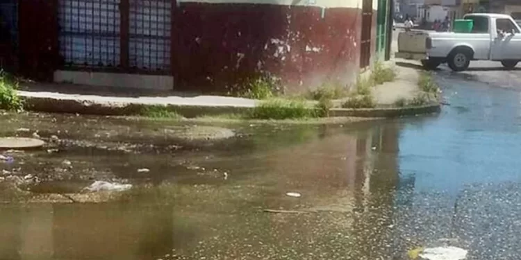 Vecinos de La Michelena Norte denuncian colapso de las tuberías de aguas negras