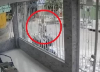 Encuentran sin vida a venezolana de 8 años que estaba desaparecida en Colombia