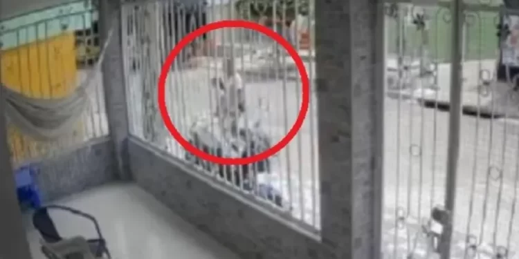 Encuentran sin vida a venezolana de 8 años que estaba desaparecida en Colombia