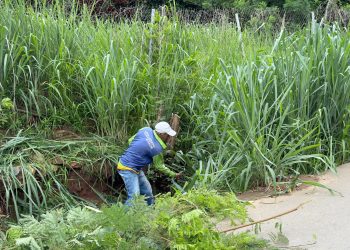 Fumconsandi realizó jornada de saneamiento y limpieza en nueve sectores de San Diego