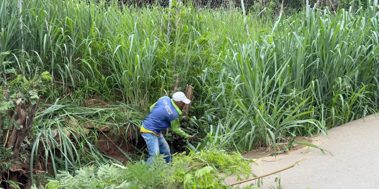 Fumconsandi realizó jornada de saneamiento y limpieza en nueve sectores de San Diego