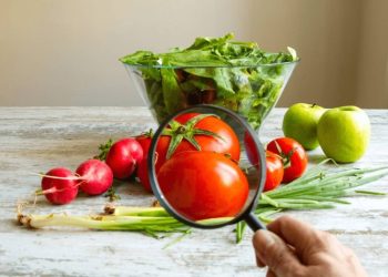 Valencia será sede de Jornadas de Actualización en Calidad Alimentaria