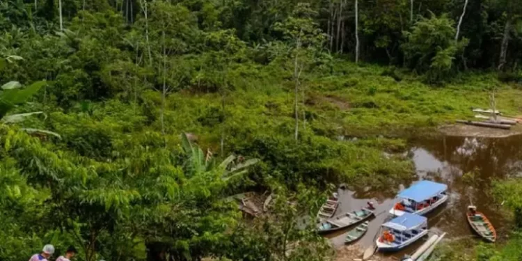 Activan «vuelos de ayuda social» hacia asentamientos indígenas del estado Amazonas