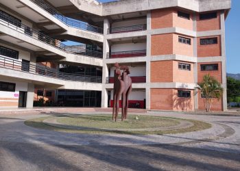 Estudiantes del segundo año de Ciencias Políticas UC resaltan la importancia del voto como medio de transformación del país