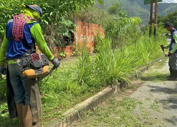 Alcaldía de San Diego continúa jornadas de desmalezado en La Esmeralda, Tulipán y Paso Real