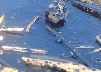 Playa de Boca de Aroa amanece cubierta de petróleo