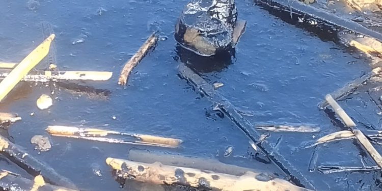 Playa de Boca de Aroa amanece cubierta de petróleo