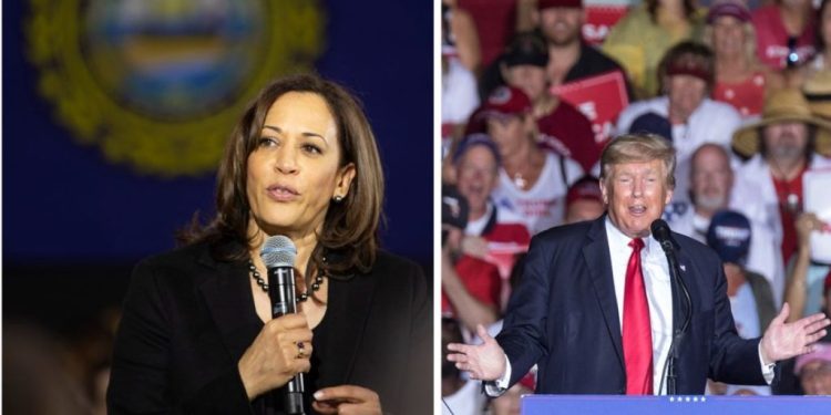 Kamala Harris aventaja ligeramente a Donald Trump, según varias encuestas