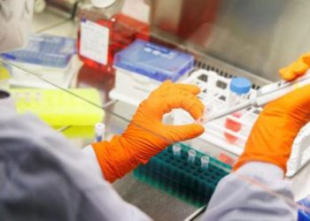 La OMS pide una ayuda de 135 millones de dólares para frenar los brotes de mpox en África