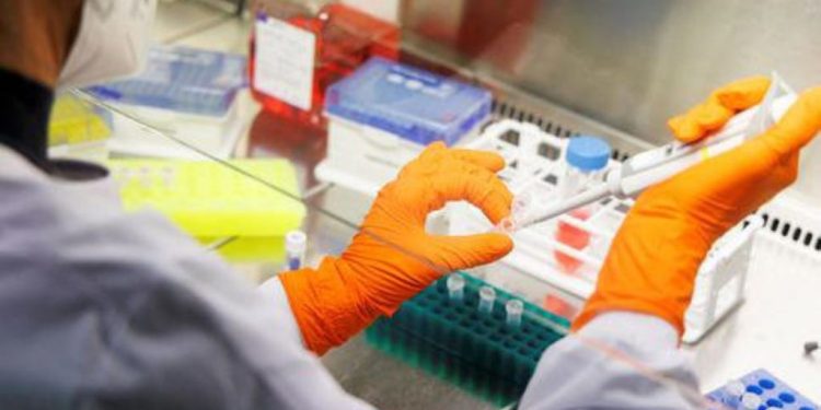 La OMS pide una ayuda de 135 millones de dólares para frenar los brotes de mpox en África