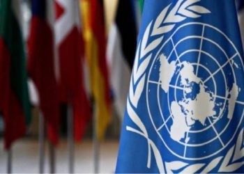 Conoce el informe preliminar de la ONU sobre los comicios del 28J