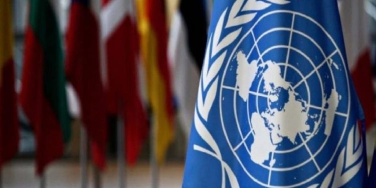 Conoce el informe preliminar de la ONU sobre los comicios del 28J