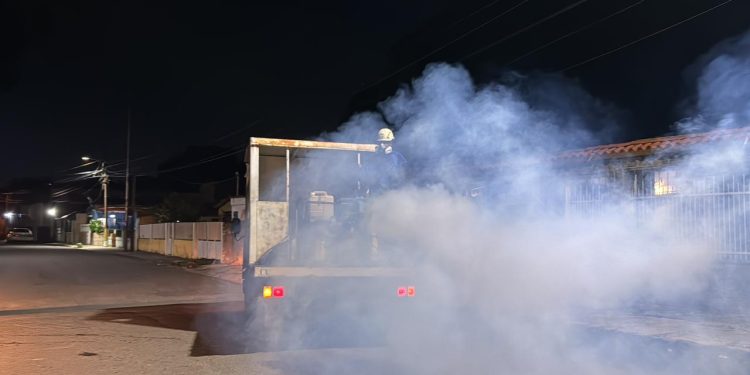 Alcalde León Jurado: La prevención en el hogar es la clave para acabar con el mosquito patas blancas