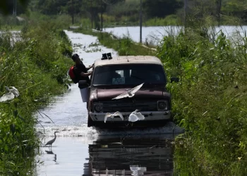 Isla La Culebra familias