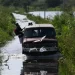 Isla La Culebra familias