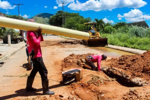 Sustitución colectores Lorenzo Fernández