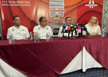 Rectificadores de motores esperan un renacer económico de la industria automotriz para 2025