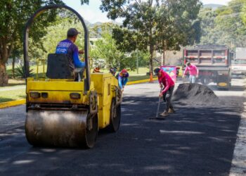 YMCA Valencia encendió su Árbol de Navidad 2024 con Macro Coro Estudiantil