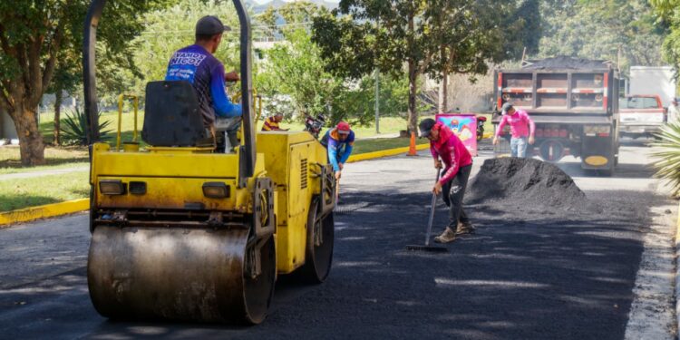 YMCA Valencia encendió su Árbol de Navidad 2024 con Macro Coro Estudiantil