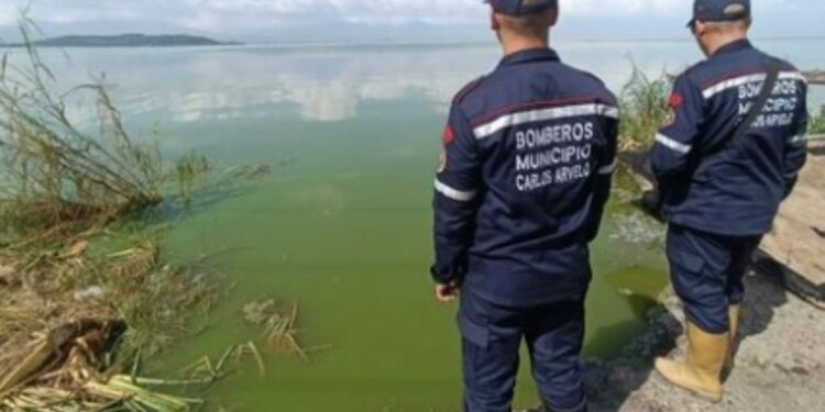 Desapareció un niño en una laguna artificial en Güigüe