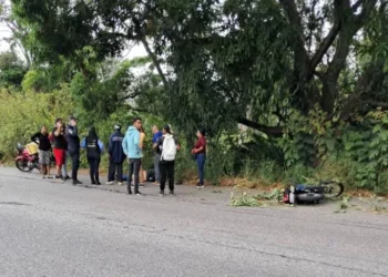 Hombre murió al derrapar su moto en la Panamericana