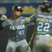 Tigres de Aragua eliminan a los Leones del Caracas
