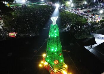 YMCA Valencia encendió su Árbol de Navidad 2024 con Macro Coro Estudiantil