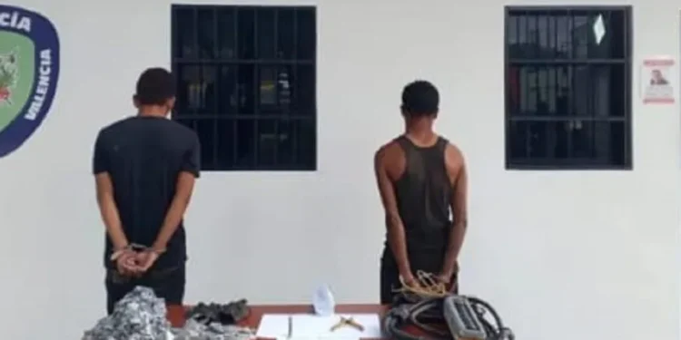 Preso por hurtar en empresa de zona industrial de Valencia