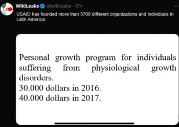 “Crecimiento personal de la gente con acondroplasia”. WikiLeaks contó en qué gastaban dinero en USAID