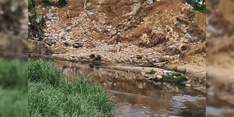 Alerta ante crecida del río Cabriales en sector Aquiles Nazoa