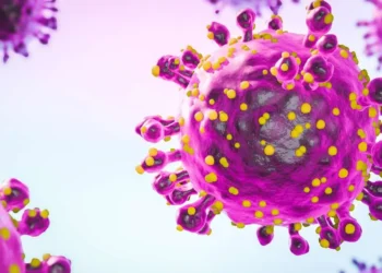 Detectan primeros casos del virus Oropouche en Venezuela