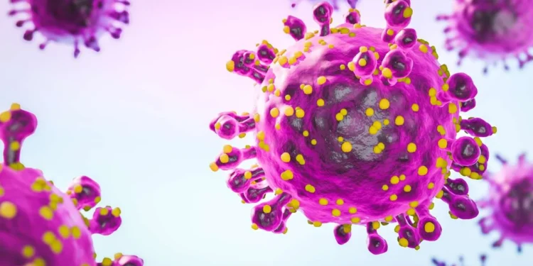 Detectan primeros casos del virus Oropouche en Venezuela