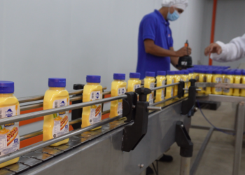 Salsa de maíz Wilos: la nueva propuesta premium de Grupo Don Tito