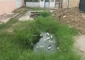 Vecinos reportan cloacas desbordadas en Santiago Betancourt Infante