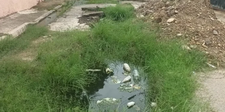 Vecinos reportan cloacas desbordadas en Santiago Betancourt Infante