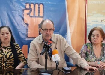 MAS: «debe insistirse en la necesidad de votar»