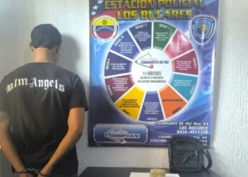 Aprehendido «El rastrillo del portal» por posesión de droga en Calicanto