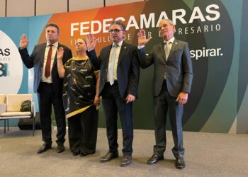 Felipe Capozzolo es el nuevo presidente de Fedecámaras nacional