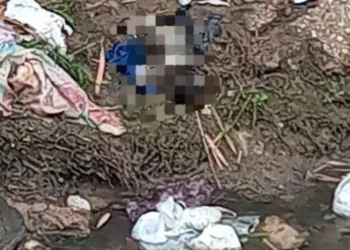 Hallan cuerpo sin vida de un lactante en caño de Miguel Peña