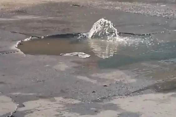 Vecinos de Bárbula alertan acerca del colapso de cloacas