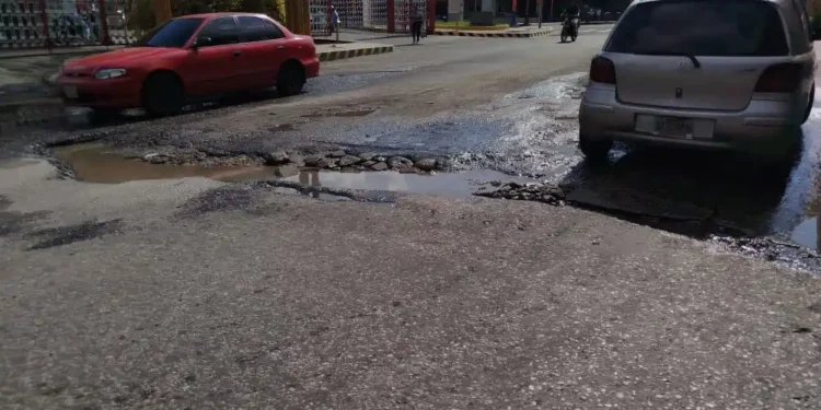 Vecinos denuncian enormes huecos en la avenida Michelena