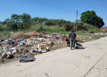 Vecinos al sur de Valencia denuncian vertedero improvisado