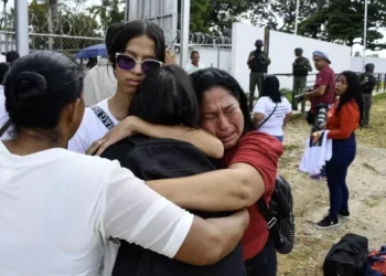 Confirman excarcelación de 87 personas detenidas por razones políticas este 01 de enero