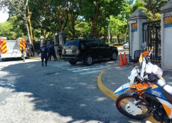 Emergencia en Parque Negra Hipólita por ataques de abejas