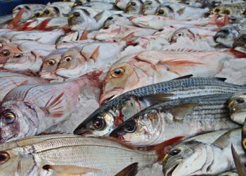 El pescado se ha posicionado como la tercera fuente de proteína