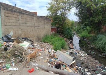 Piden limpieza en canal de aguas pluviales en Bicentenario