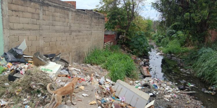 Piden limpieza en canal de aguas pluviales en Bicentenario