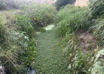 Vecinos de Bucaral II solicitan limpieza del canal
