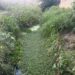 Vecinos de Bucaral II solicitan limpieza del canal
